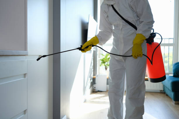 Real Estate Pest Inspections in Wright City, MO